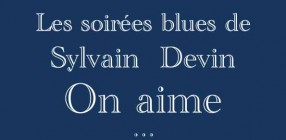 les-soirees-blues-de-sylvain-devin